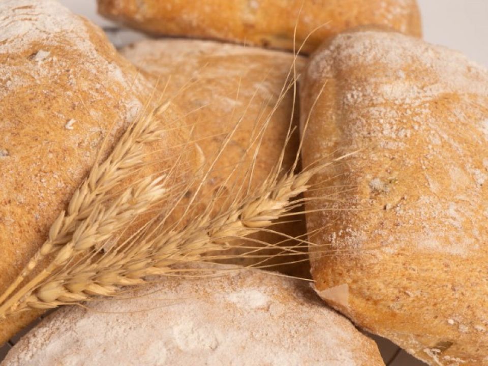 Chapatta de chipilin con queso